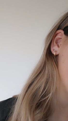 Customer photo review of The Perfect Small Hoops