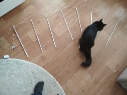 Customer photo review of Christmas LED Meteor Shower Lights