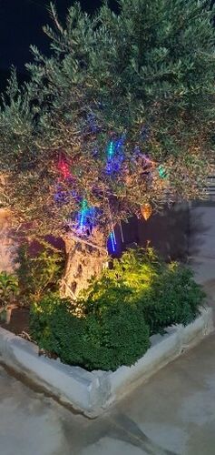 Customer photo review of Christmas LED Meteor Shower Lights