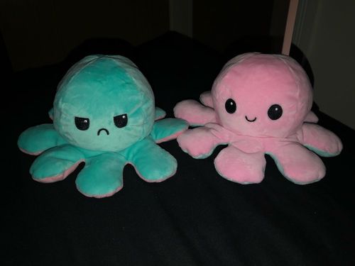 Customer photo review of Moody Octopus Plush