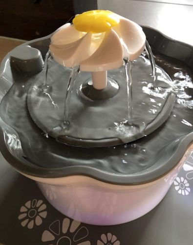 Customer photo review of MINKI TRINKI - der Trinkbrunnen für deine Katze