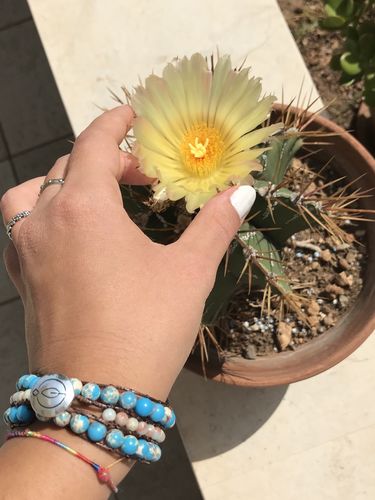 Customer photo review of Oceanblue