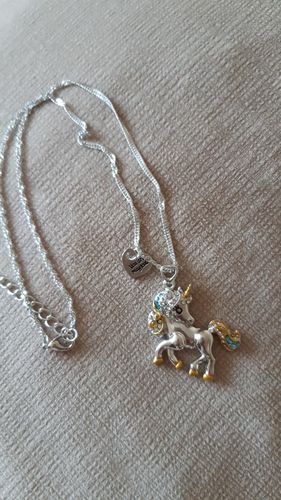 Customer photo review of Unicorn Necklace and Earring