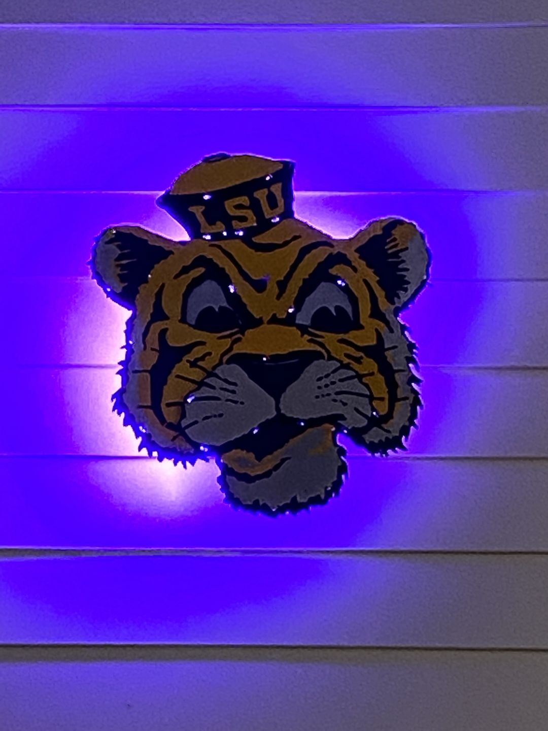Customer photo review of Mississippi State University "M State" 3D Metal Artwork