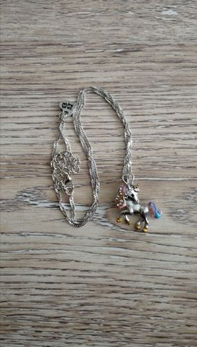 Customer photo review of Unicorn Necklace and Earring