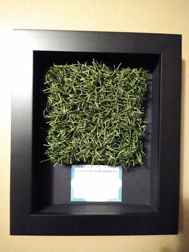 Customer photo review of Mini Shadow Box Frame