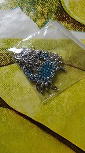 Customer photo review of Unicorn Necklace and Earring