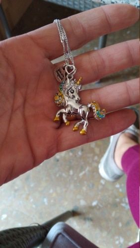 Customer photo review of Unicorn Necklace and Earring