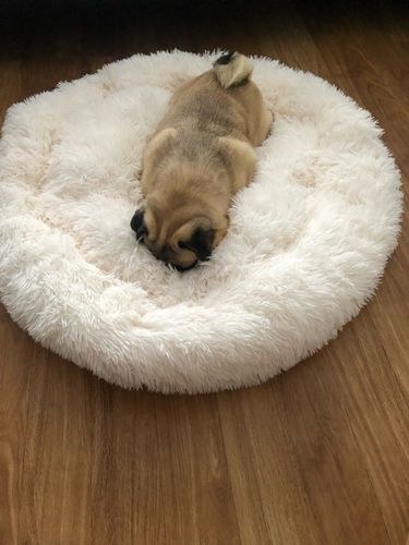 Customer photo review of Petyfy™ Fleece Bed