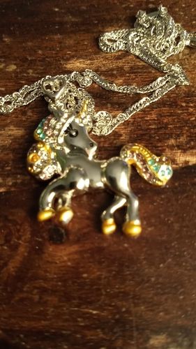 Customer photo review of Unicorn Necklace and Earring
