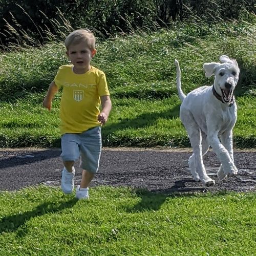 Customer photo review of Simple Spectrum Nutritional Support Supplement