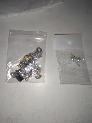Customer photo review of Unicorn Necklace and Earring