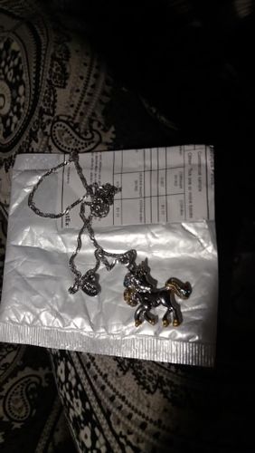 Customer photo review of Unicorn Necklace and Earring