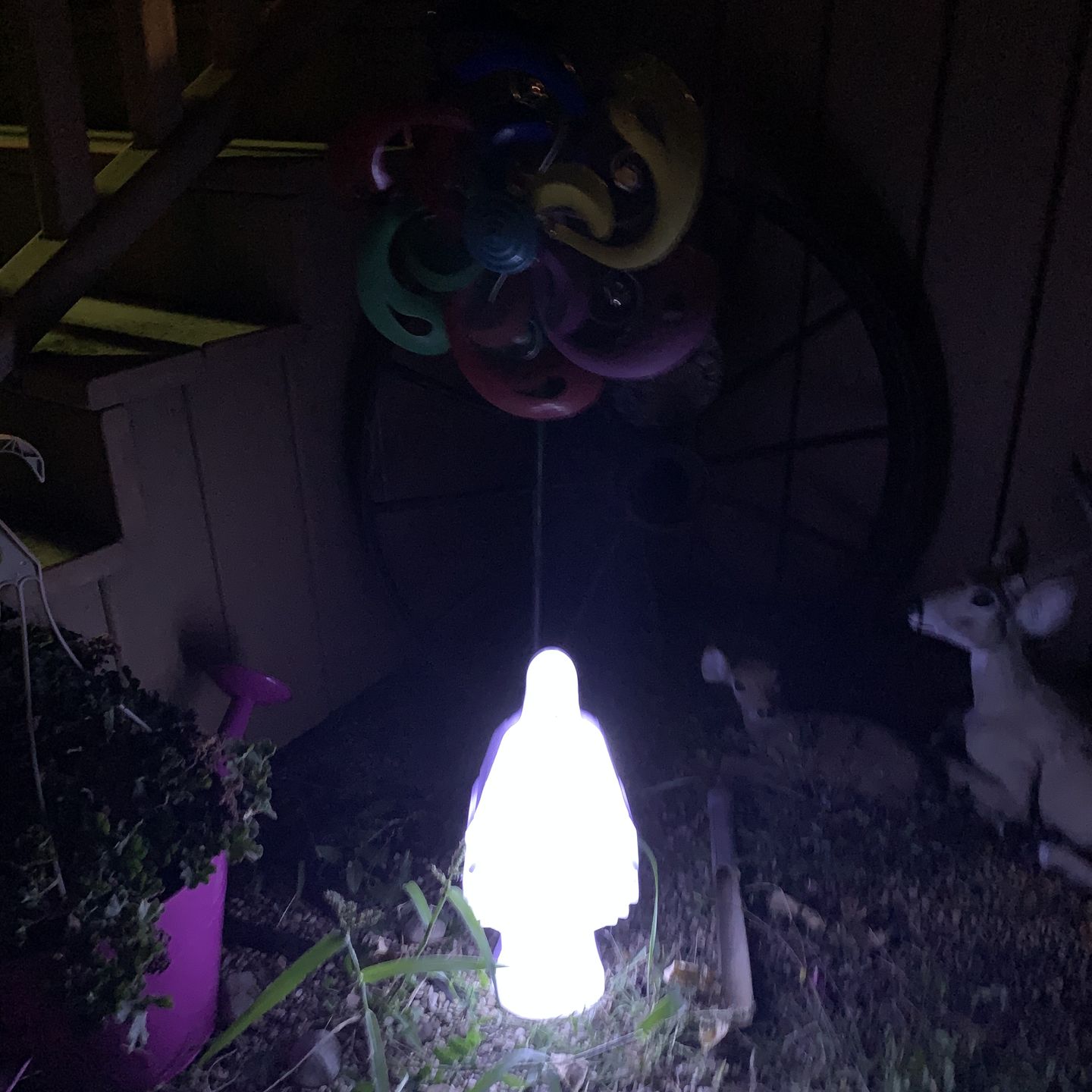Customer photo review of Eternal Light Blessed Mary