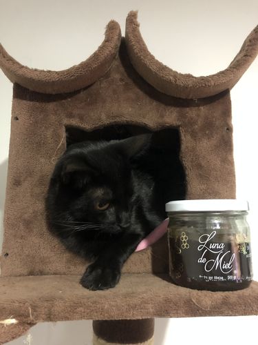 Customer photo review of Miel Multifloral Orgánica