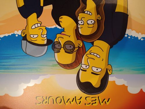 Customer photo review of Le Cadre Simpson Personnalisé