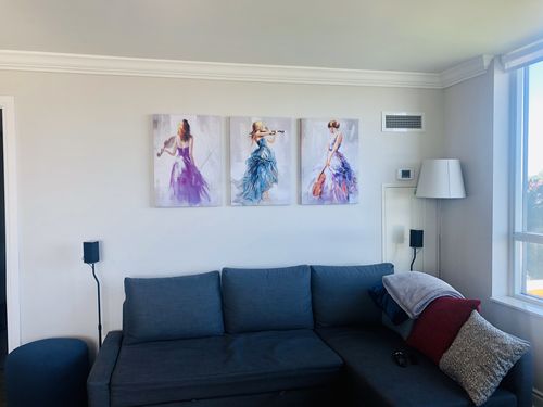 Customer photo review of 'Music Soul' Framed Canvas (31.25" x 23.5") Set of 3
