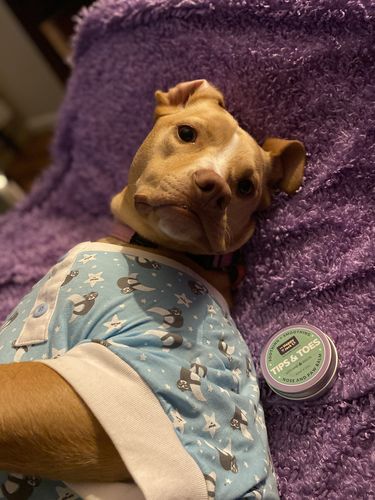 Customer photo review of Tips & Toes - Nose and Paw Balm