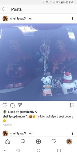 Customer photo review of 2pcs Michael Myers Car Seat Cover 16
