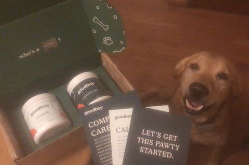 Customer photo review of Calm, Cool, & Collected