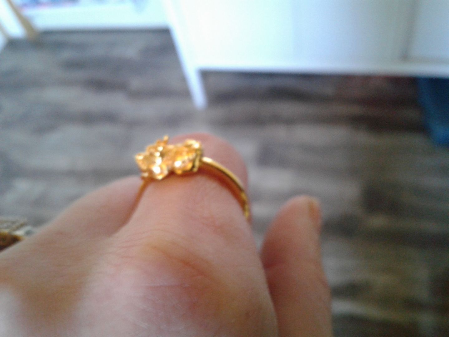 Customer photo review of Adjustable Lucky Gold Piyao Ring
