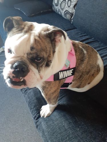 Customer photo review of Signature Kit