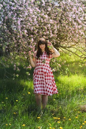 Customer photo review of ROT 1950ER KARIERTES TASCHEN SWING KLEID