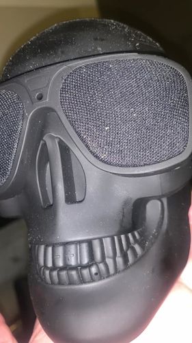 Customer photo review of Just Love Skulls Speaker