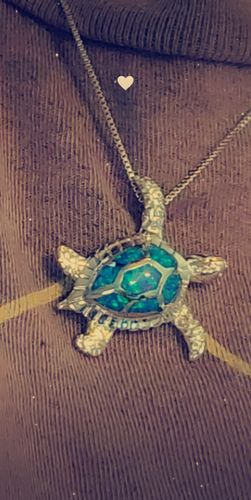 Customer photo review of Save a Turtle Necklace