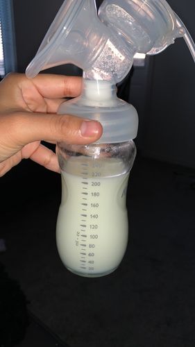 Dairy duchess milky mama