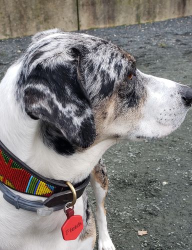 Customer photo review of Pop Star