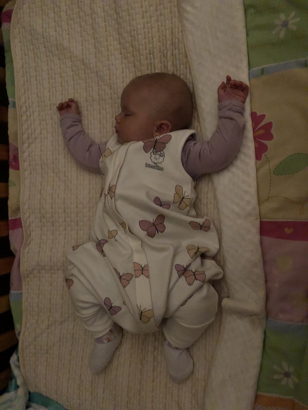 Customer photo review of Baby Bodysuit, Long Sleeve, Merino Wool, Blush