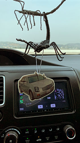 Customer photo review of Custom Air Freshener