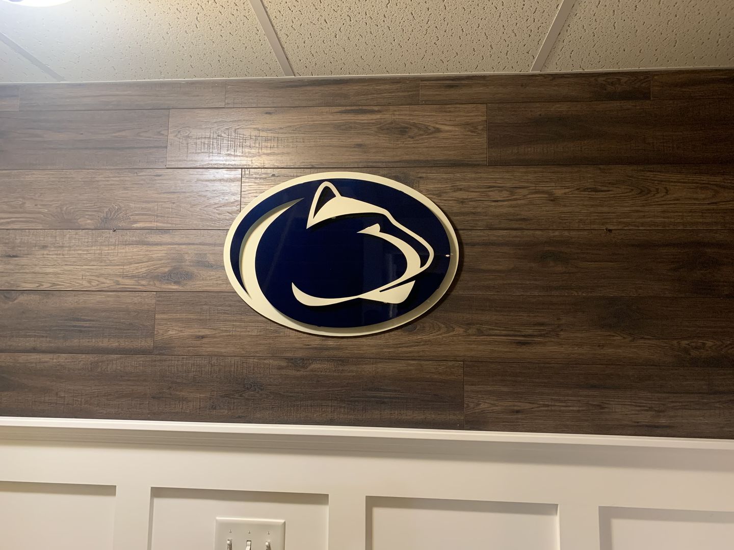 Customer photo review of Penn State University Nittany Lions 3D Artwork 23" x 16"