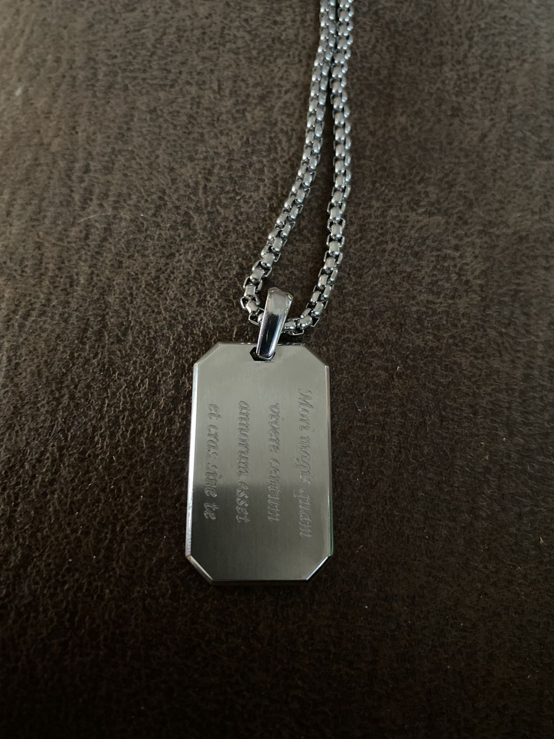 Customer photo review of Matte Steel Modern Dog Tag Engravable Pendant