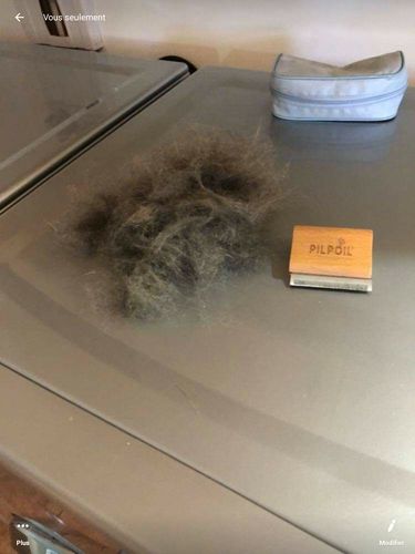 Customer photo review of Brosse Anti-Poils Chien, Chat, Cheval, Lapin | Original | Pilpoil®