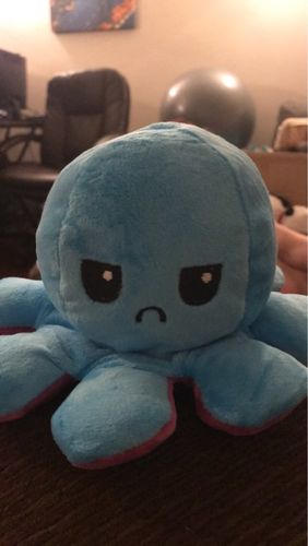 Customer photo review of Moody Octopus Plush