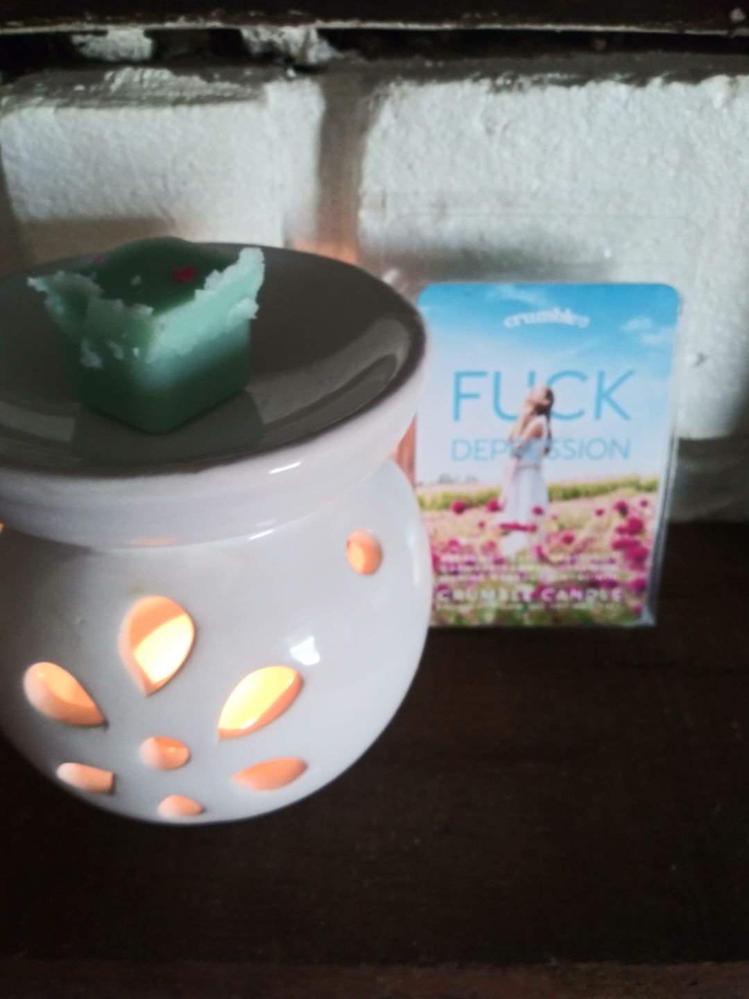 Customer photo review of Fuck Depression Wax Melts