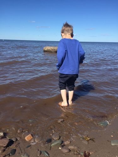 Customer photo review of Simple Spectrum Nutritional Support Supplement