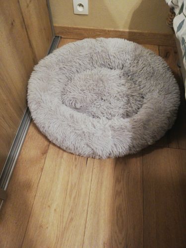 Customer photo review of Lit Apaisant Comfy® |  Pour Chien et Chat