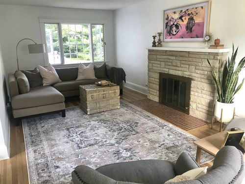 Customer photo review of Distressed Vintage Cezanne Blush Area Rug