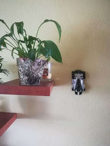 Customer photo review of Anti Gravity Climbing Remote Control Car