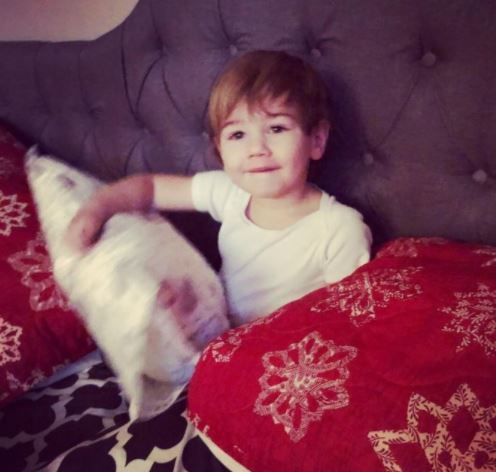 Customer photo review of Hypoallergenic Toddler Pillow with 100% Cotton Pillowcase