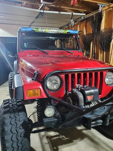 Customer photo review of GO TOPLESS