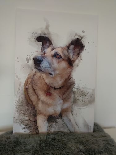 Customer photo review of Individuelles Haustierporträt - Leinwanddruck