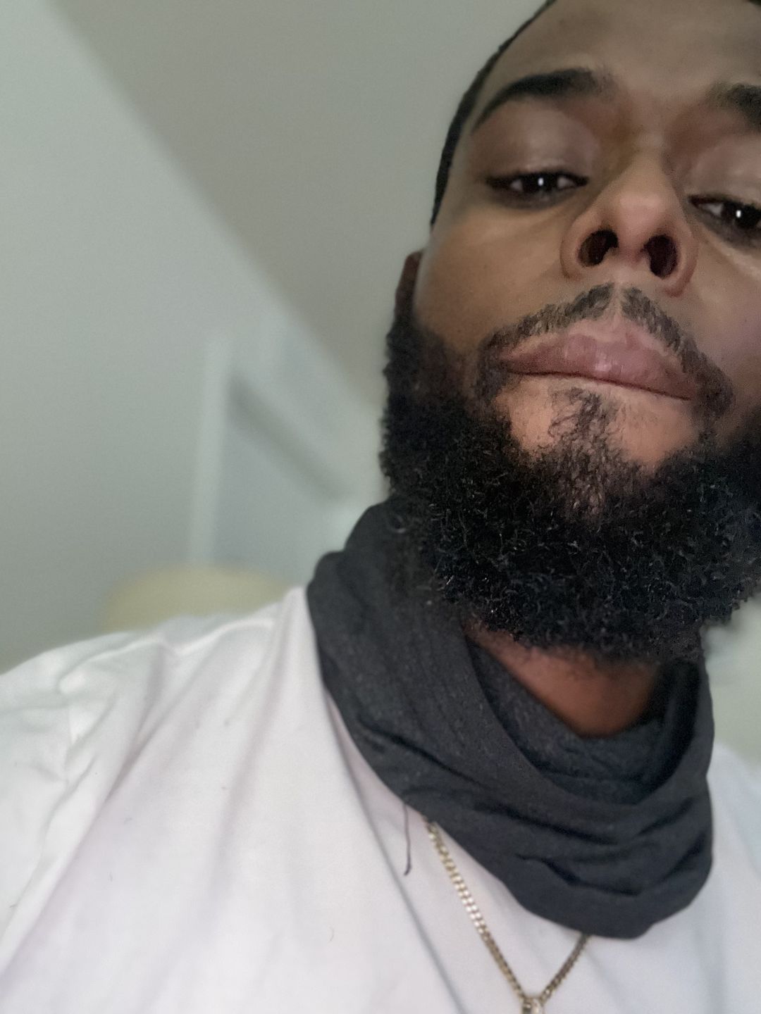 Customer photo review of Respected Roots Premium Collection v. 2