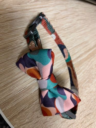 Customer photo review of Pidan® Bow Tie Collar - Cat