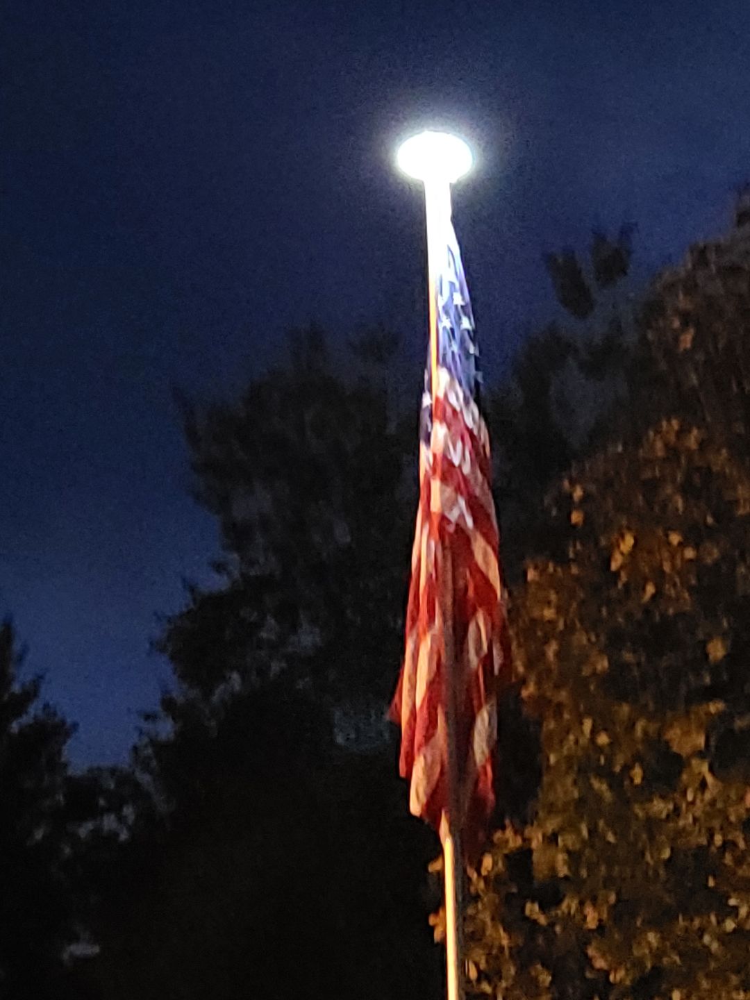 Customer photo review of 42 LED Outdoor Solar Power Flag Pole Lights