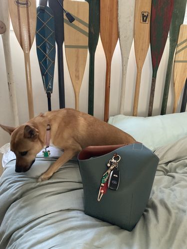 Customer photo review of Cholet