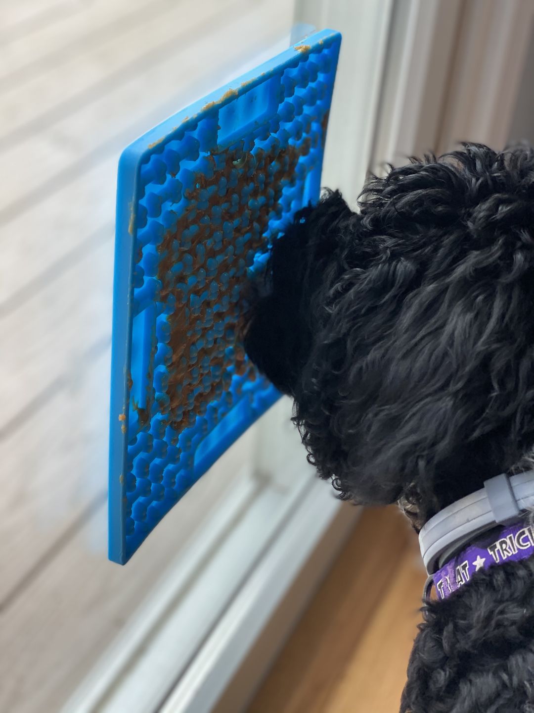 Deborah S. review of Lickit Buddy Focus